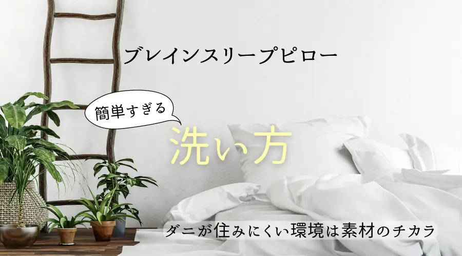 ブレインスリープピローの正しい洗い方と頻度｜失敗しない手順・注意点