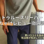 トゥルースリーパー　ぶっちゃけ