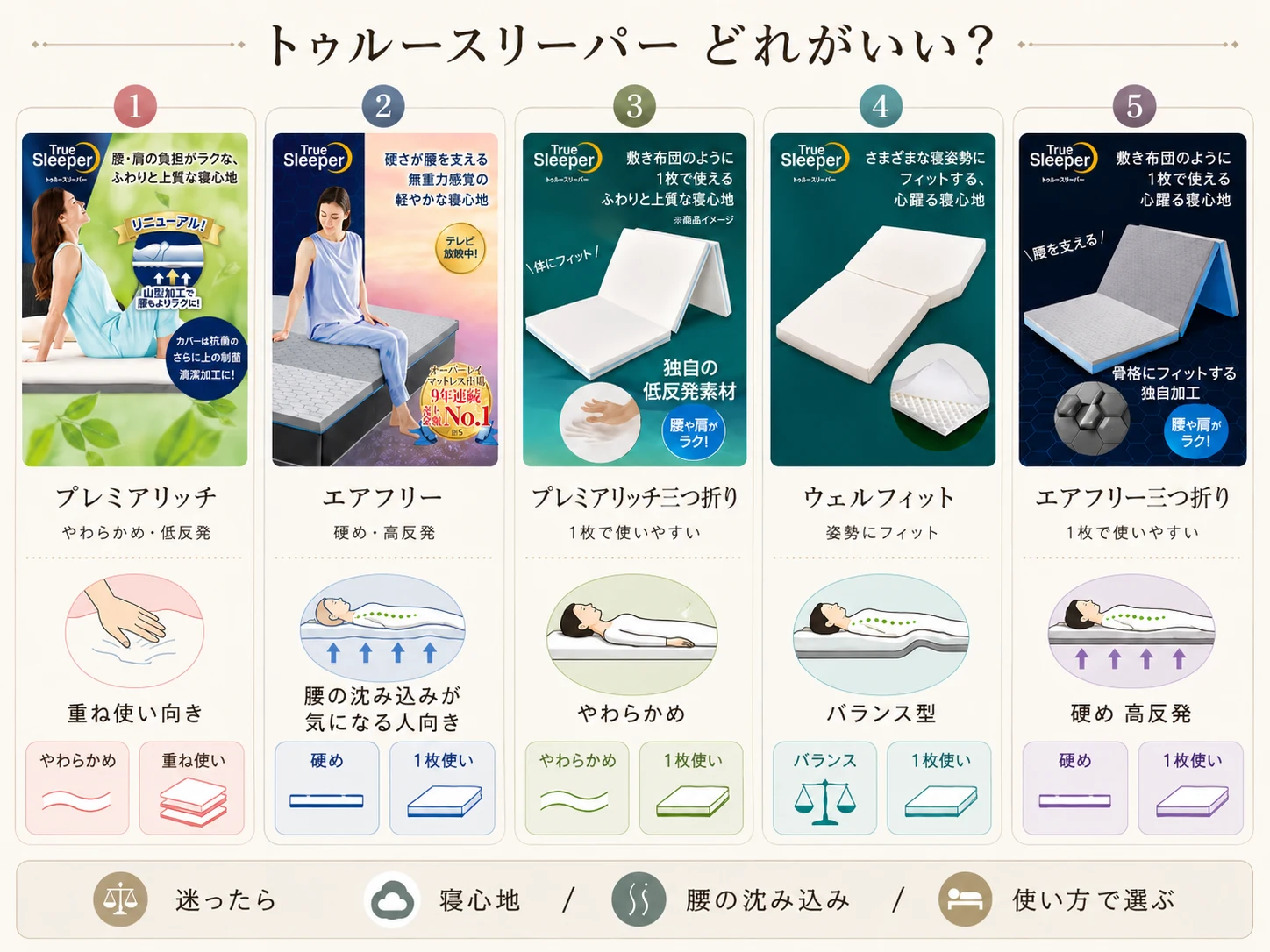 活動歴および当時の関連ビジュアル記録